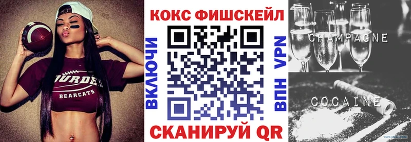 Купить закладки  Юрга  COCAIN FishScale 