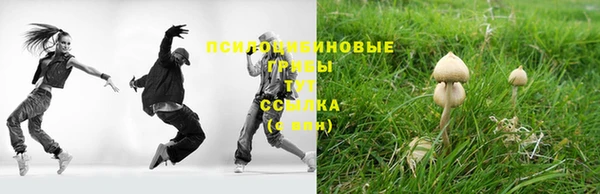 прущая мука Заводоуковск