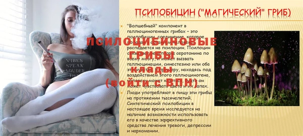 прущая мука Заводоуковск