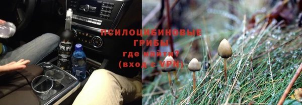 тгк Заволжск