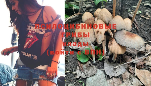 прущая мука Заводоуковск