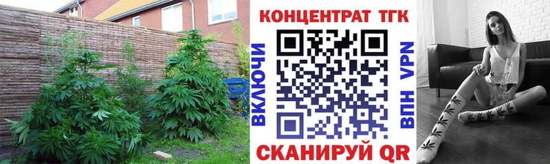 Дистиллят ТГК THC oil  Купить  Юрга 