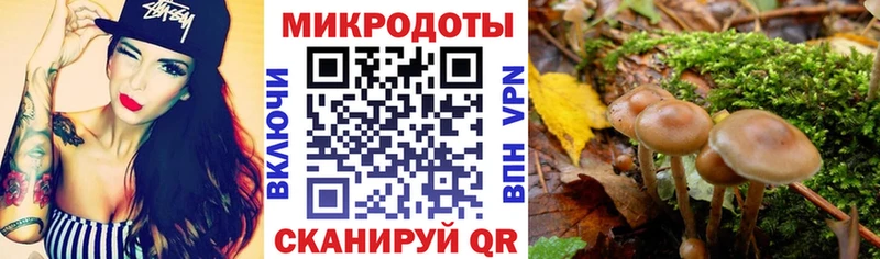 Галлюциногенные грибы Psilocybine cubensis  Купить где  Юрга 